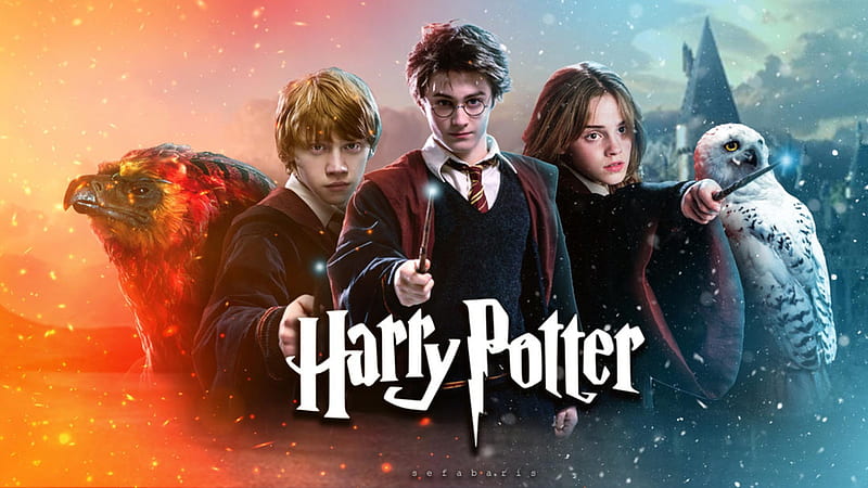 Harry Potter - Top 37 Best Harry Potter [ HQ ], Cool Harry Potter, HD  wallpaper | Peakpx