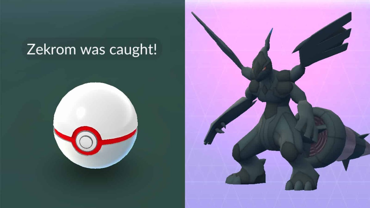 The Legendary Zekrom appearing in Pokemon Go