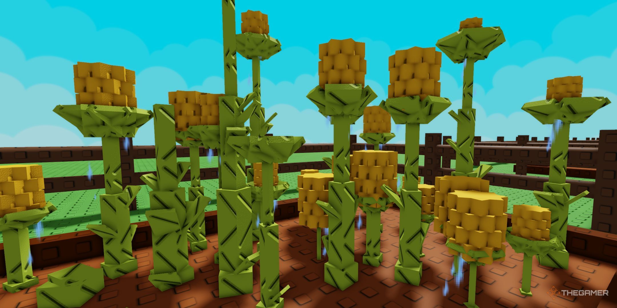  Grow A Garden